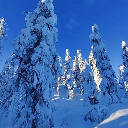 Saunaharju 5 Jaerven Rannalla *