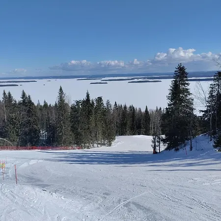 Saunaharju 5 Jaerven Rannalla Koli (Lieksa)